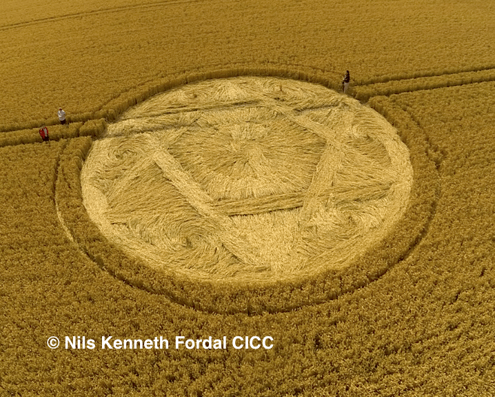 Wiltshire Crop Circle 11 August 2013