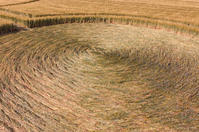 DJI_20260703083820_0055_D