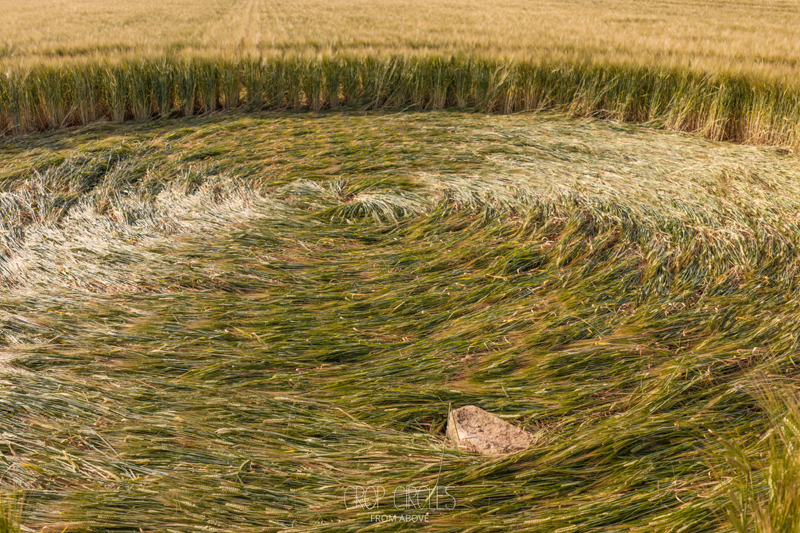 DJI_20260703083932_0058_D