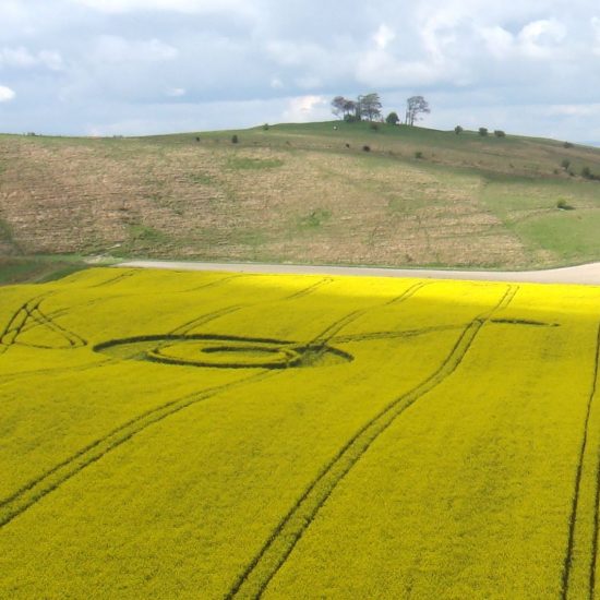 Cherhill 16th April 2017 © Charles Mallet