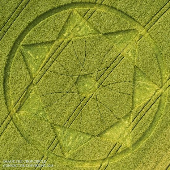 Devil’s Den, Nr Clatford, Wiltshire. Reported 20th June Devil's Den, Nr Clatford, Wiltshire. Reported 20th June.jpg