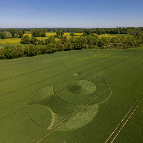 Mud Lane, Nr Wooton Rivers, Wiltshire. Reported 9th June