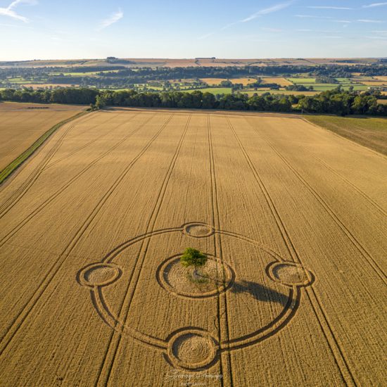 Potterne Field, Nr Devizes, Wiltshire. Reported 4th August : A