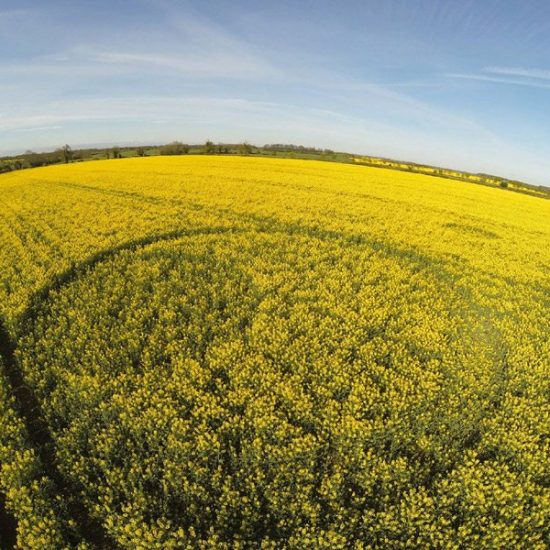 Tarlton Down, Gloucester, 18th April, © Mr. Gyro