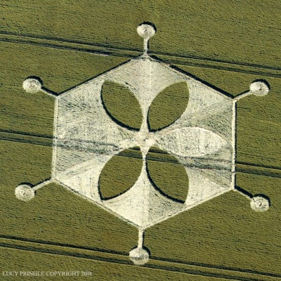 Yarnbury Castle, Nr Steeple Langford, Wiltshire. Reported 24th June